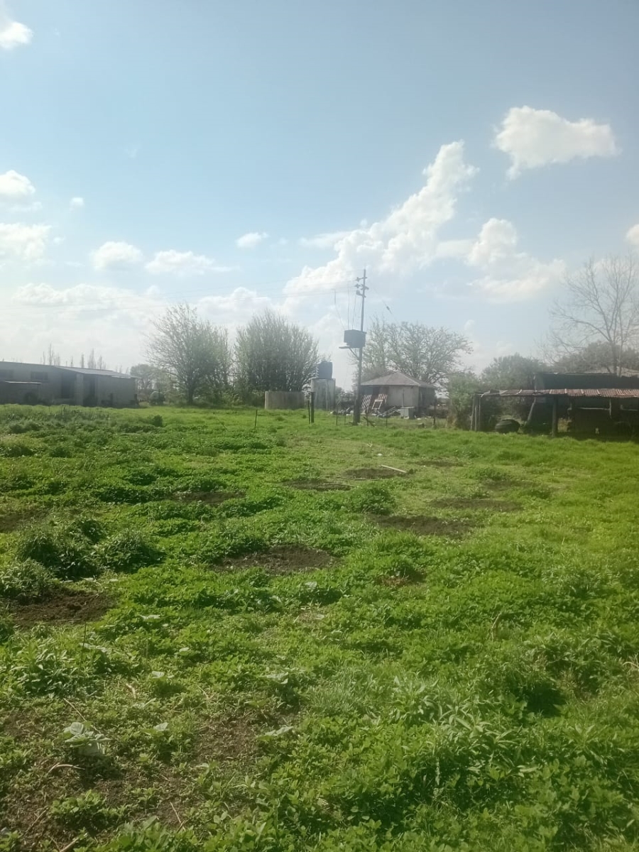 0 Bedroom Property for Sale in Koppies Rural Free State